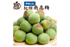 ＜６月発送＞厳選 紀州南高梅(青梅)4kg+120g（傷み補償分）【朝摘み・とれたて直送便】【梅干し・梅酒・梅ジュース】【和歌山産】【ikd087A】
