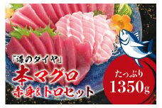 本マグロ（養殖）トロ＆赤身セット 1350g 【１ヶ月以内に順次発送】 / 高級 クロマグロ 中トロ 中とろ  まぐろ マグロ 鮪 刺身 赤身 柵 じゃばらまぐろ 本マグロ 本鮪【nks111】