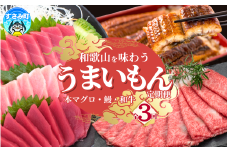 【3ヶ月定期便】和歌山うまいもん定期便 国産うなぎ･高級和牛･本マグロの人気返礼品を3回お届け！ / ウナギ 鰻 牛肉 黒毛和牛 熊野牛 鮪 まぐろ 70000円 7万円 人気 豪華 贈答 贈り物 ご褒美 お祝い ギフト プレゼント 【tkb300】