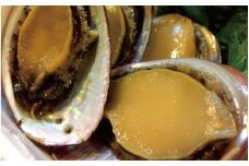 ＼数量限定／希少 すさみ町産トコブシ煮つけ 約300g(100g×3または150g×2)【産地直送】/とこぶし ながれこ ナガレコ すさみ町 珍味 アテ【gyg139】
