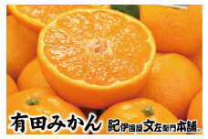 ブランド有田みかん【Ｌ】秀品10kg /／産地直送／薄皮で甘い美味しい和歌山県産／紀伊国屋文左衛門本舗　※2025年11月上旬～2026年1月中旬頃ごろ発送（お届け日指定不可） 【sutb141C】