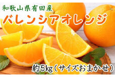 和歌山県有田産バレンシアオレンジ約5kg（サイズおまかせ）※2025年6月下旬～7月上旬ごろ順次発送予定（お届け日指定不可）【tec926A】