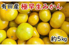 有田産極早生みかん約5kg（サイズ混合）※2025年10月中旬～2025年11月上旬頃発送予定（お届け日指定不可）/ みかん フルーツ 果物 柑橘 ミカン 和歌山県 有田みかん 有田 すさみ町 くだもの【tec929A】