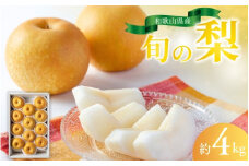 【先行予約受付】和歌山県産の美味しい梨 約4kg（10～13玉入り）/ 梨 なし ナシ フルーツ 果物 くだもの 和歌山 【8月中旬頃から順次発送予定】【mat102B】
