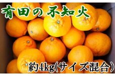 【先行予約】【濃厚】有田産不知火約4kg（2L～5Lサイズ混合）　※2026年2月中旬～2026年3月下旬頃発送予定（お届け日指定不可） / くだもの 果物 柑橘 オレンジ みかん 和歌山 フルーツ デコポン 有田みかん 不知火【tec931A】