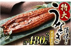 【予約 土用の丑の日までに届く】1尾で約240gのビッグサイズ うなぎ蒲焼 2尾 計約480g （タレ・山椒付き） 中国産 鰻 うなぎ うなぎの蒲焼 炭火焼き 炭火 特大サイズ【nks700A-dy】