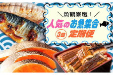 【全3回】魚鶴厳選！人気のお魚集合定期便（さば・銀鮭・うなぎ）【tkb307】