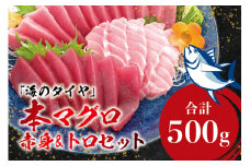本マグロ（養殖）トロ＆赤身セット 500g 【4月発送】 高級 クロマグロ  中トロ 中とろ まぐろ マグロ 鮪 刺身 赤身 柵 じゃばらまぐろ 本マグロ 本鮪【nks110D-4】