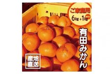 【訳あり】2S～3Lサイズおまかせ！有田みかん 6kg+1kg保証分 【11月から12月下旬までに順次発送致します】 訳ありみかん 有田みかん みかん ミカン 蜜柑 柑橘 温州みかん 和歌山 ご家庭用【fkn001B】