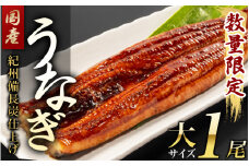 紀州備長炭仕上げ 国産うなぎ蒲焼 大サイズ1尾(約140g～159g)【タレ・紀州香山椒 各1個付】日付指定不可 国産 ウナギ 鰻 蒲焼 養殖 【sff128A】