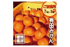 【訳あり】2S～3Lサイズおまかせ！有田みかん 7kg+1kg保証分 【11月から12月下旬までに順次発送致します】 訳ありみかん 有田みかん みかん ミカン 蜜柑 柑橘 温州みかん 和歌山 ご家庭用【fkn004B】
