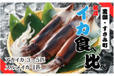 すさみの熟成イカ 食べ比べセット　アカイカ3～5匹（約350～400g）スルメイカ1匹（約300~400g前後）/いか 烏賊 刺身 ゲソ 冷凍【gyg132C】
