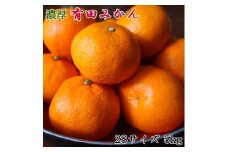 【秀品】 和歌山 有田みかん 5kg（2Sサイズ）※着日指定不可 ※北海道・沖縄・離島への配送不可 ※2025年11月中旬～2026年1月中旬頃に順次発送予定 【tec886A】