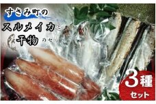 すさみ町のスルメイカと干物のセット（スルメイカ×1匹 、干物×6枚【あじ開き×3 、さんまみりん干し×3 】）/ いか スルメ するめいか アジ 鯵 サンマ 秋刀魚  詰め合わせ【gyg217】