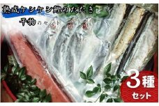 熟成ケンケン鰹のたたきと干物のセット（ケンケン鰹×1節 、干物×6枚【あじ開き×3 、さんまみりん干し×3】）/ かつお カツオ かつおのたたき タタキ アジ 鯵 サンマ 秋刀魚  詰め合わせ 和歌山 すさみ【gyg218】