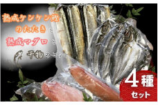 熟成ケンケン鰹のたたきと熟成マグロと干物のセット（まぐろ×1節、ケンケン鰹タタキ×1節 、干物×6枚【あじ開き×3 、さんまみりん干し×3 】）/ マグロ 鮪 かつお カツオ かつおのたたき タタキ アジ 鯵 サンマ 秋刀魚  詰め合わせ 和歌山 すさみ【gyg219】