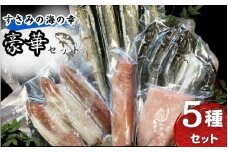 すさみ海の幸豪華セット（熟成ケンケン鰹タタキ×1節、熟成まぐろ×1節 、赤イカ×3～5匹 、干物×6枚【あじ開き×3 、さんまみりん干し×3 】）/ かつお かつおのたたき カツオ まぐろ 鮪 いか アジ サンマ  詰め合わせ ひもの【gyg224】