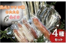 熟成ケンケン鰹のたたきと赤イカと干物のセット（熟成ケンケン鰹タタキ×1節、赤イカ・旨イカ・甘イカからランダムで×3～5匹 、干物×6枚【あじ開き×3 、さんまみりん干し×3】）/ かつお かつおのたたき カツオ いか アジ サンマ  詰め合わせ ひもの【gyg226A】