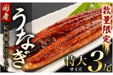 紀州備長炭仕上げ 国産うなぎ蒲焼 特大サイズ3尾(約160g～179g×3尾)【タレ・紀州香山椒 各3個付】日付指定不可 国産 ウナギ 鰻 蒲焼 養殖 【sff132A】