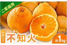 ＜3月下旬より発送＞【先行予約】ファミリー層 高評価★ 家庭用不知火1kg+250g（傷み補償分）【デコポンと同品種・人気の春みかん】【わけあり・訳あり】/ フルーツ 果物 くだもの 柑橘 和歌山【ikd161C】