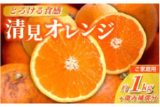 ＜2月より発送＞家庭用 清見オレンジ 1kg+250g（傷み補償分）【光センサー食頃出荷】【樹上完熟きよみオレンジ・清見タンゴール・清美】【わけあり・訳あり】 / オレンジ 清見 おれんじ みかん 柑橘 有田 和歌山 産地直送  くだもの 果物 フルーツ 柑橘類 和歌山 すさみ町【ikd164B】