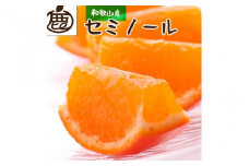 ＜4月より発送＞厳選セミノールオレンジ3kg+90g（傷み補償分）【春みかん】【有田産】【光センサー食べ頃出荷】 ※北海道・沖縄・離島への配送不可【ikd167】