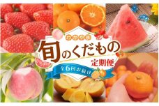 わかやま旬のくだもの定期便　全6回【Ｓ】（配送日時指定不可）※北海道・沖縄・離島への配送不可  / 定期便 フルーツ  いちご イチゴ 清見オレンジ すいか 桃 柿 みかん 6回【ard-tkb900A】