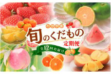 わかやま旬のくだもの定期便　全12回【Ｓ】（配送日時指定不可）※北海道・沖縄・離島への配送不可  / 定期便 フルーツ みかん いちご イチゴ 清見オレンジ セミノール 河内晩柑 カラマンダリン すいか 桃 ジュース みかん 柿 完熟みかん 12回【ard-tkb901A】