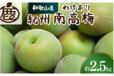＜6月発送＞家庭用 紀州南高梅(青梅)2.5kg+75g（傷み補償分）【朝摘み・とれたて直送便】【梅干し・梅酒・梅ジュース】【和歌山産】【わけあり・訳あり】 ※北海道・沖縄・離島への配送不可【ikd169】