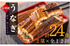 【全12回定期便】大型サイズ ふっくら柔らか 国産うなぎ蒲焼き 2尾×12回 計24尾 約4080g / 定期便 うなぎ 鰻 国産 蒲焼 蒲焼き うな重 うな丼 ひつまぶし たれ 人気 贈答 贈り物 ギフト プレゼント お祝い 冷凍便 クール便 【tkb311】