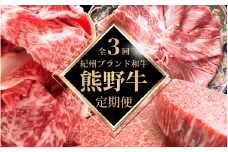 【全3回定期便】高級和牛 熊野牛 A4以上 (霜降りローススライス・霜降り赤身こま切れ・ヒレシャトーブリアンステーキ＆霜降りサーロインステーキ) / 国産 肉 牛肉 和牛 黒毛和牛 焼肉 ステーキ すき焼き しゃぶしゃぶ ロース 赤身 サーロイン シャトーブリアン 霜降り 冷凍 定期便【tkb312】