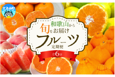 【全6回】旬のフルーツ定期便 【田村みかん 紀州デコ(不知火) 清見オレンジ 小玉スイカ 桃 ゆら早生みかん】 和歌山の旬をお届け / みかん ミカン 温州みかん 有田みかん 不知火 デコポン 桃 もも モモ スイカ すいか 早生 柑橘 フルーツ 果物 くだもの 旬 人気 甘い 定期便【tkb314】