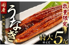  紀州備長炭仕上げ 国産うなぎ蒲焼 特大サイズ5尾(約160g～179g×5尾)【タレ・紀州香山椒 各5個付】日付指定不可 国産 ウナギ 鰻 蒲焼 養殖 【sff137A】