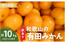 家庭用 訳あり 有田みかん 和歌山  大玉(2L,3Lサイズ混合) 約10kg【10月上旬～1月下旬頃に順次発送】/ みかん フルーツ 果物 くだもの 有田みかん 蜜柑 柑橘【ktn012A】