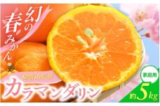 【先行予約】ご家庭用 カラマンダリン なつみ 春のみかん 和歌山 有田  S～2Lサイズ 大きさお任せ 5kg【2025年4月上旬～5月上旬までに順次発送予定】/ みかん フルーツ 果物 くだもの 蜜柑 柑橘【ktn020】