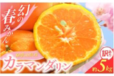 【先行予約】訳あり 有田 カラマンダリン なつみ 春のみかん 2S～3Lサイズ混合 5kg【2025年4月上旬～5月上旬までに順次発送予定】/ みかん フルーツ 果物 くだもの 蜜柑 柑橘【ktn021A】