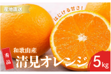 【先行予約】秀品 きよみ 清美オレンジ 和歌山 有田 S～2Lサイズ 大きさお任せ 5kg【2月中旬～3月下旬頃に順次発送】/ みかん フルーツ 果物 くだもの 蜜柑 柑橘【ktn022】