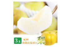紀州和歌山産の梨 3玉 化粧箱入 ※2025年8月下旬頃〜2025年9月上旬頃に順次発送 ※日付指定不可 梨 なし ナシ 果物 くだもの フルーツ 甘い【uot787】