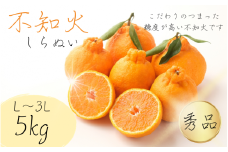 【L～3Lのサイズおまかせ】秀品 路地不知火 5kg【2024年2月中旬から2024年２月下旬頃に順次発送】＜味好農園＞/ 不知火 デコポン 蜜柑 みかん 柑橘 果物 フルーツ 【agy010B】