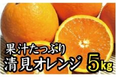 【農家直送】果汁たっぷり！清見オレンジ 約5kg  有機質肥料100%　 サイズ混合　※2026年3月上旬から3月下旬より順次発送予定（お届け日指定不可）【nuk112B】