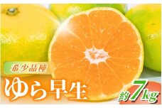 【先行予約】希少品種 ご家庭用 ゆら早生みかん約7kg サイズ混合【2025年10月上旬より発送】※北海道・沖縄・離島配送不可 / みかん ミカン 有田みかん 温州みかん 柑橘 有田 和歌山 産地直送  くだもの 果物 フルーツ 柑橘類 和歌山 すさみ町【nuk002D】