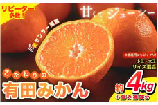 【先行予約】【2025年12月発送】みかん 【家庭用】こだわりの有田みかん 約4kg＋250g(傷み補償分) ※サイズ混合※北海道・沖縄・離島配送不可 ＼光センサー選別／ 【農家直送】 有機質肥料100% みかん ミカン 有田みかん 温州みかん 柑橘 有田 和歌山 【nuk148-12】