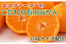 エコファーマーのこだわり有田みかん約10kg(サイズ混合)  ※2025年11月中旬～2026年1月中旬頃順次発送（お届け日指定不可）/ 有田みかん みかん ミカン 柑橘 オレンジ 有田 和歌山 すさみ町【tec950B】