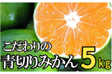【2025年秋頃発送予約分】【農家直送】こだわりの青切りみかん 約5kg  有機質肥料100%　 サイズ混合　※2025年9月下旬より順次発送予定（お届け日指定不可）【nuk150B】