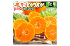 【先行予約】【極甘柑橘】有田育ちの 濃厚 ポンカン（訳あり 家庭用）約3kg ※2025年1月中旬～2月下旬頃に順次発送予定 ※着日指定不可【ard140A】