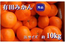 紀州有田みかん 秀品 約10kg ２Lサイズ　※2025年11月下旬～2026年1月中旬頃順次発送予定 / みかん ミカン 果物 フルーツ 柑橘 オレンジ 【sml129B】