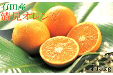 【先行予約】【濃厚】有田産清見オレンジ約5kg（サイズおまかせ 青秀以上）　※2026年2月中旬～2026年3月中旬頃発送予定（お届け日指定不可） / オレンジ 清見オレンジ 柑橘 オレンジ みかん フルーツ 果物 くだもの【tec958】