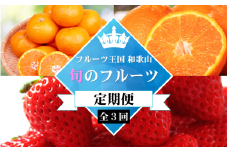 【全3回定期便】フルーツ大国和歌山よりお届け！旬のフルーツ定期便A【田村みかん・まりひめ・紀州デコ】 / フルーツ 果物 みかん いちご  旬 定期便  【tkb350】