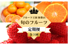 【全3回定期便】フルーツ大国和歌山よりお届け！旬のフルーツ定期便B【田村みかん・まりひめ・紀州デコ】 / フルーツ 果物 みかん いちご  旬 定期便  【tkb351】