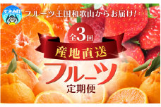 【定期便】●全3回● 産地直送 定期便【温州みかん・まりひめ・紀州デコ】 / フルーツ 果物 みかん いちご  旬 定期便  【tkb352】